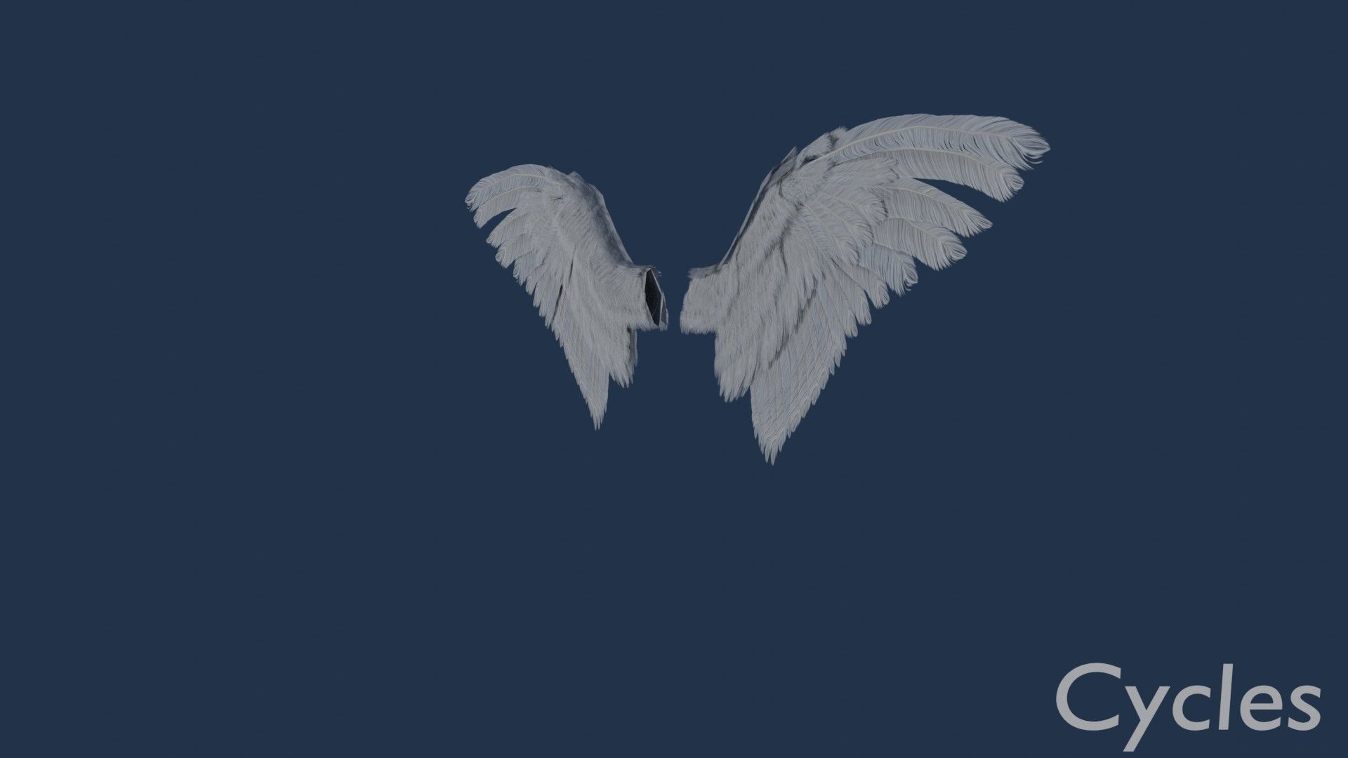 Wings cycles angel Low-poly 3D model_5