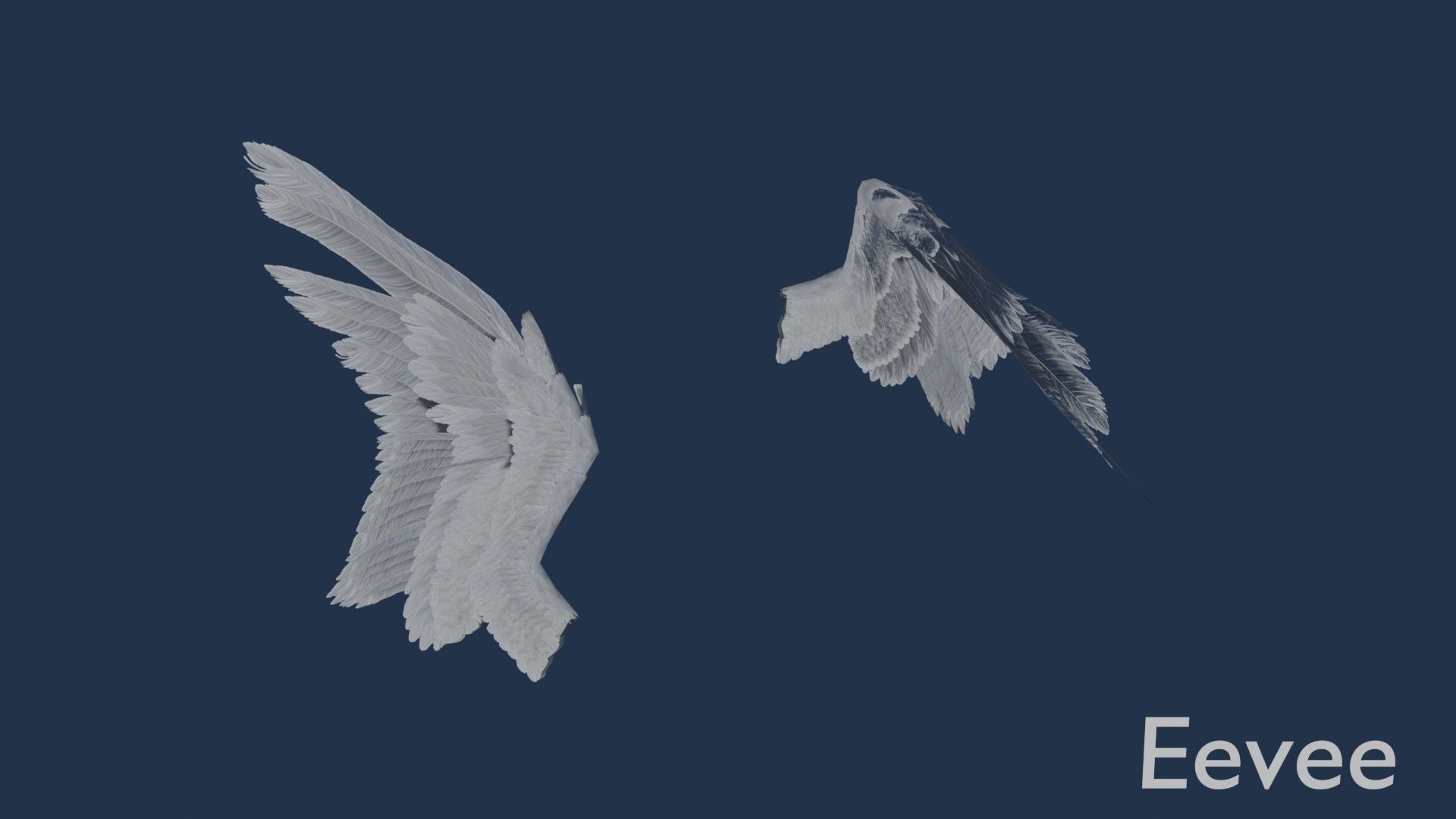 Wings cycles angel Low-poly 3D model_17