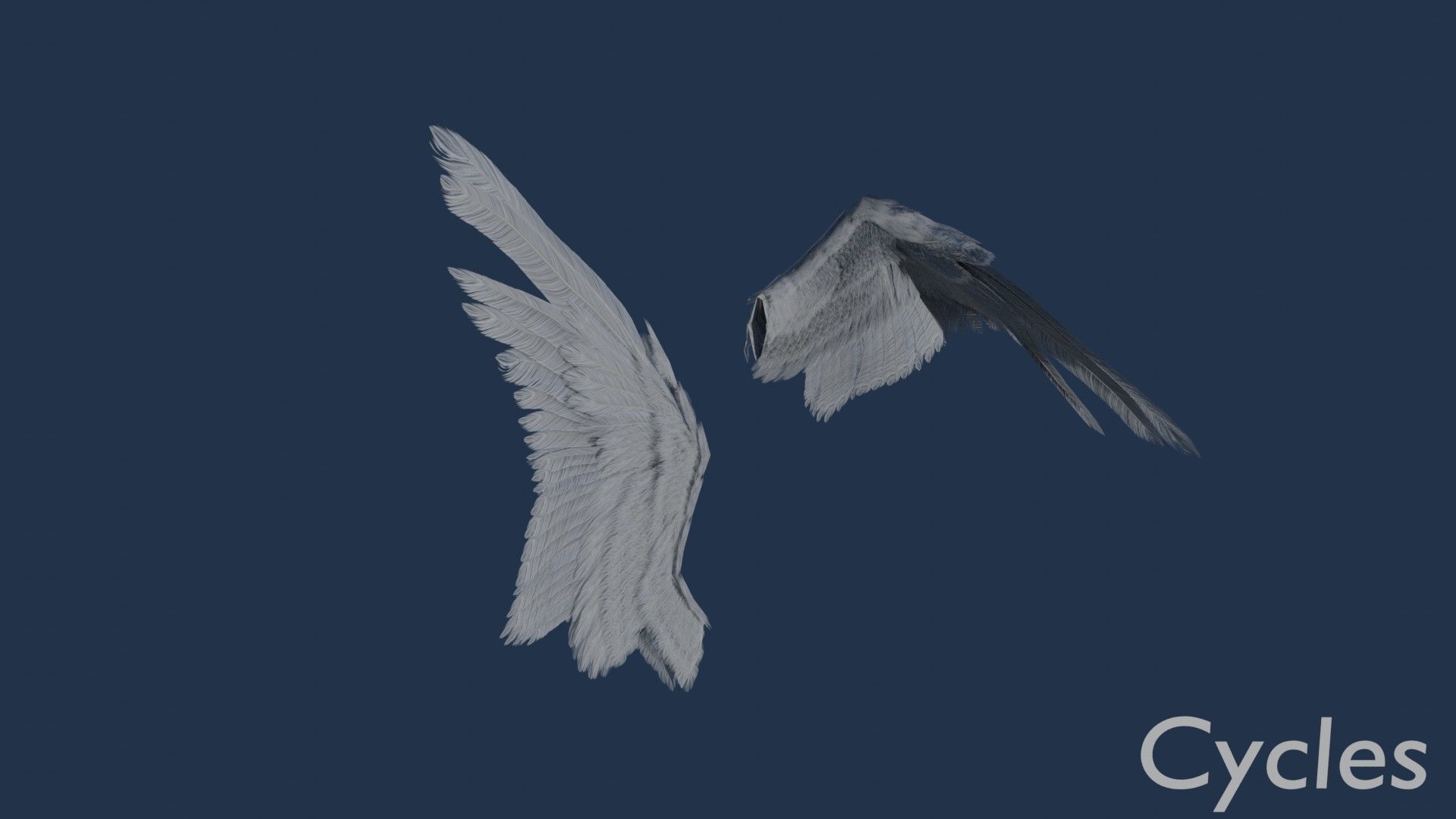 Wings cycles angel Low-poly 3D model_9