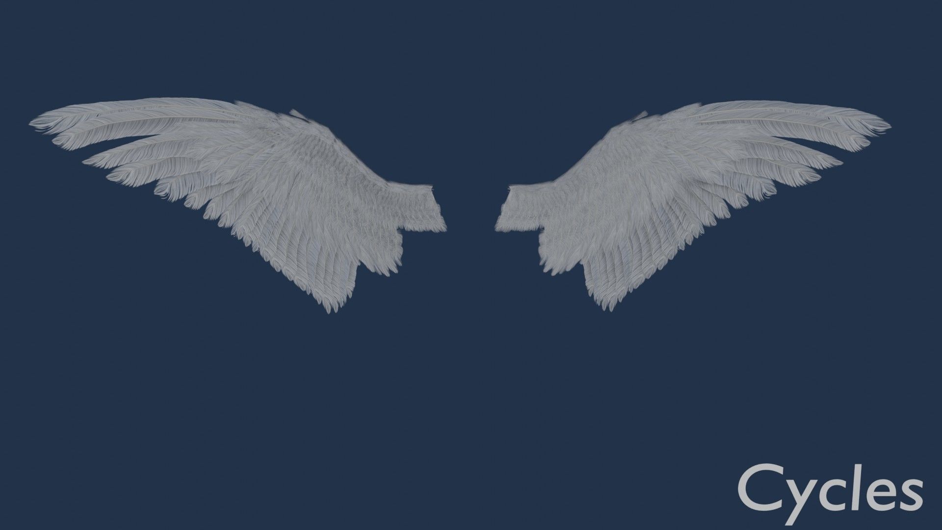 Wings cycles angel Low-poly 3D model_4