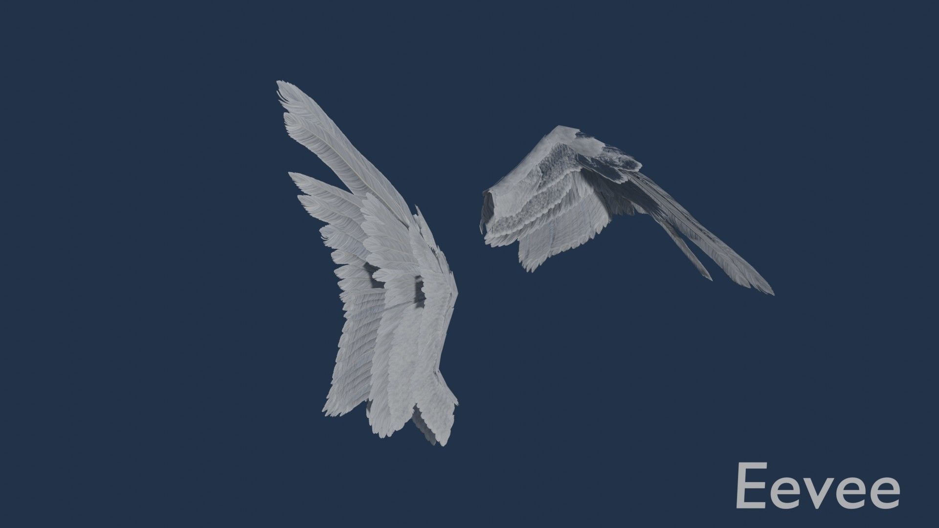Wings cycles angel Low-poly 3D model_16