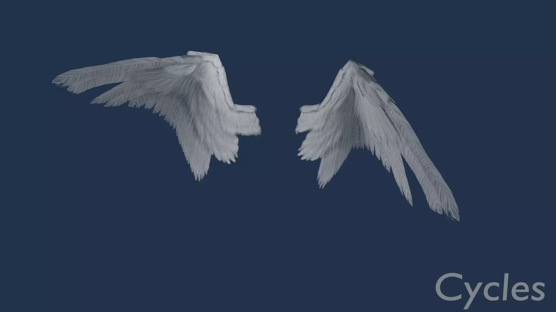 Wings cycles angel Low-poly 3D model_0