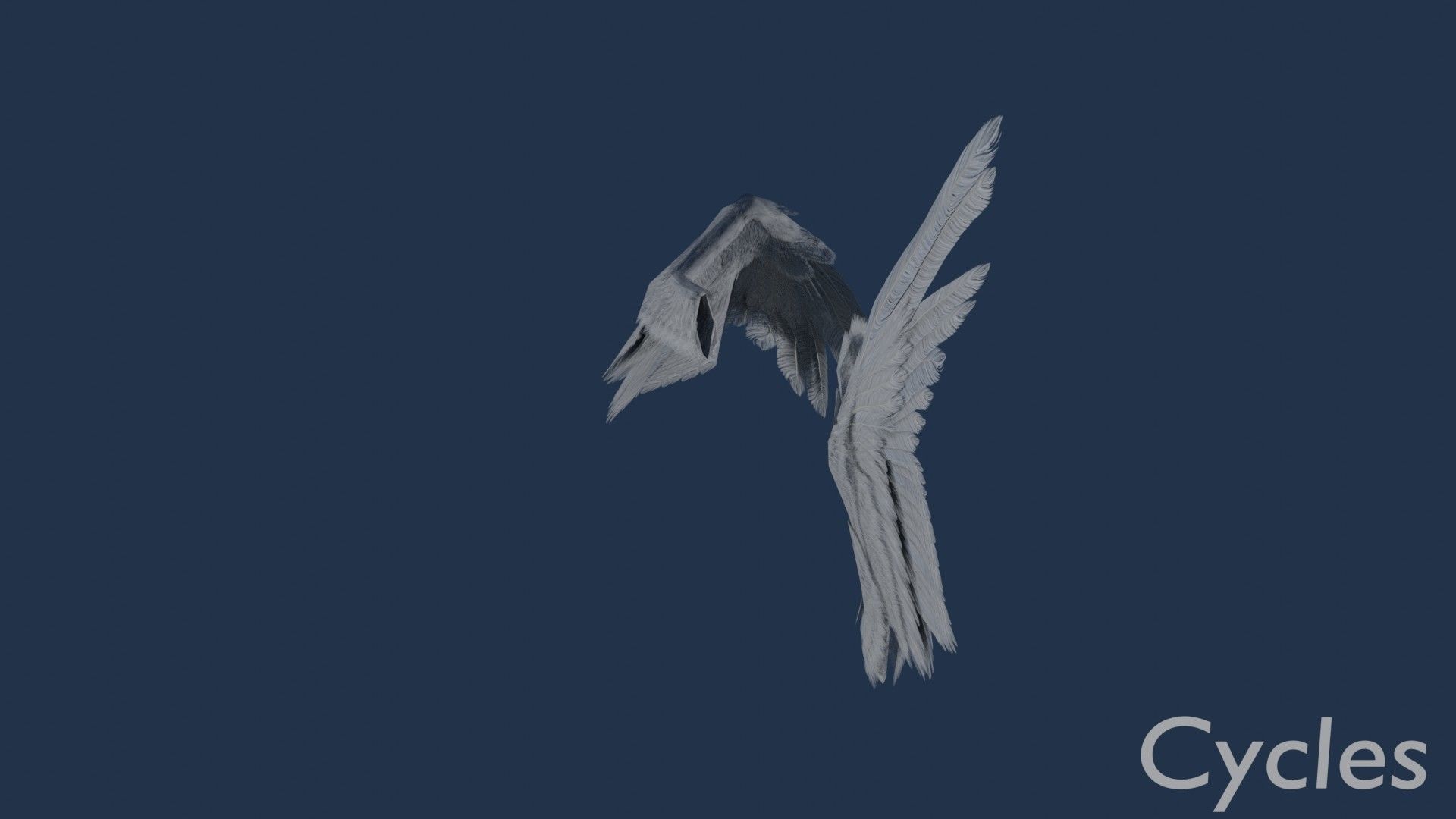 Wings cycles angel Low-poly 3D model_8