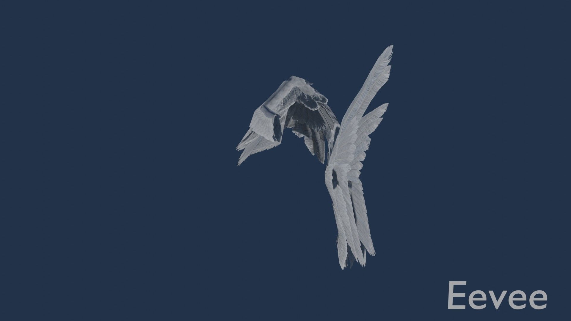 Wings cycles angel Low-poly 3D model_15