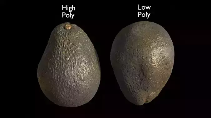 Rotten Avocado Fruit 2