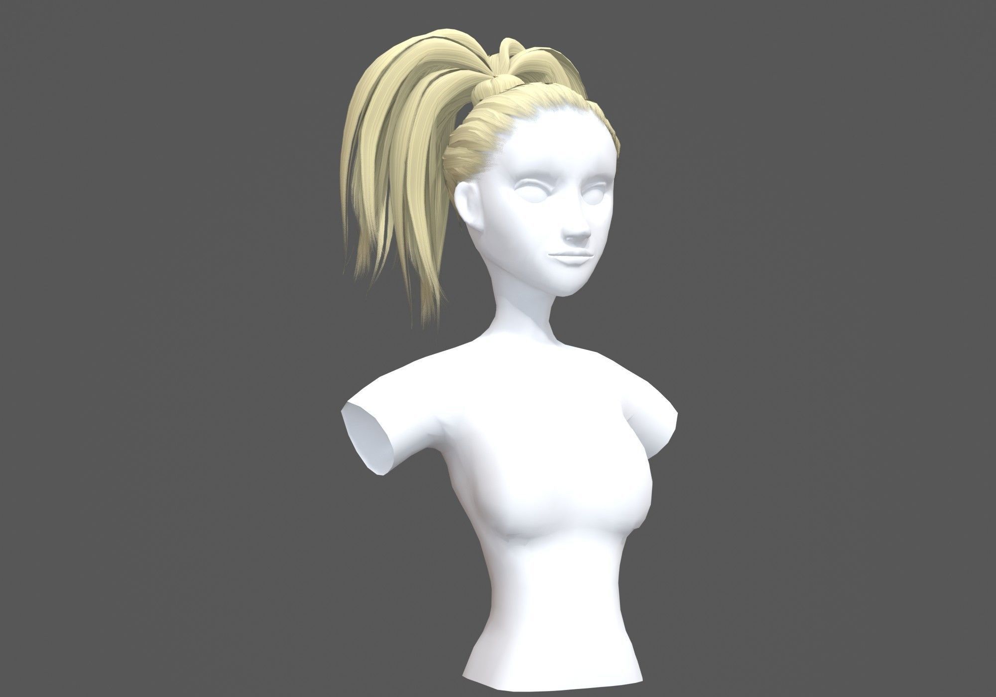 Up Pigtail Hairstyle  3D model_1