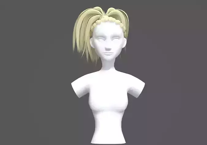 Up Pigtail Hairstyle 