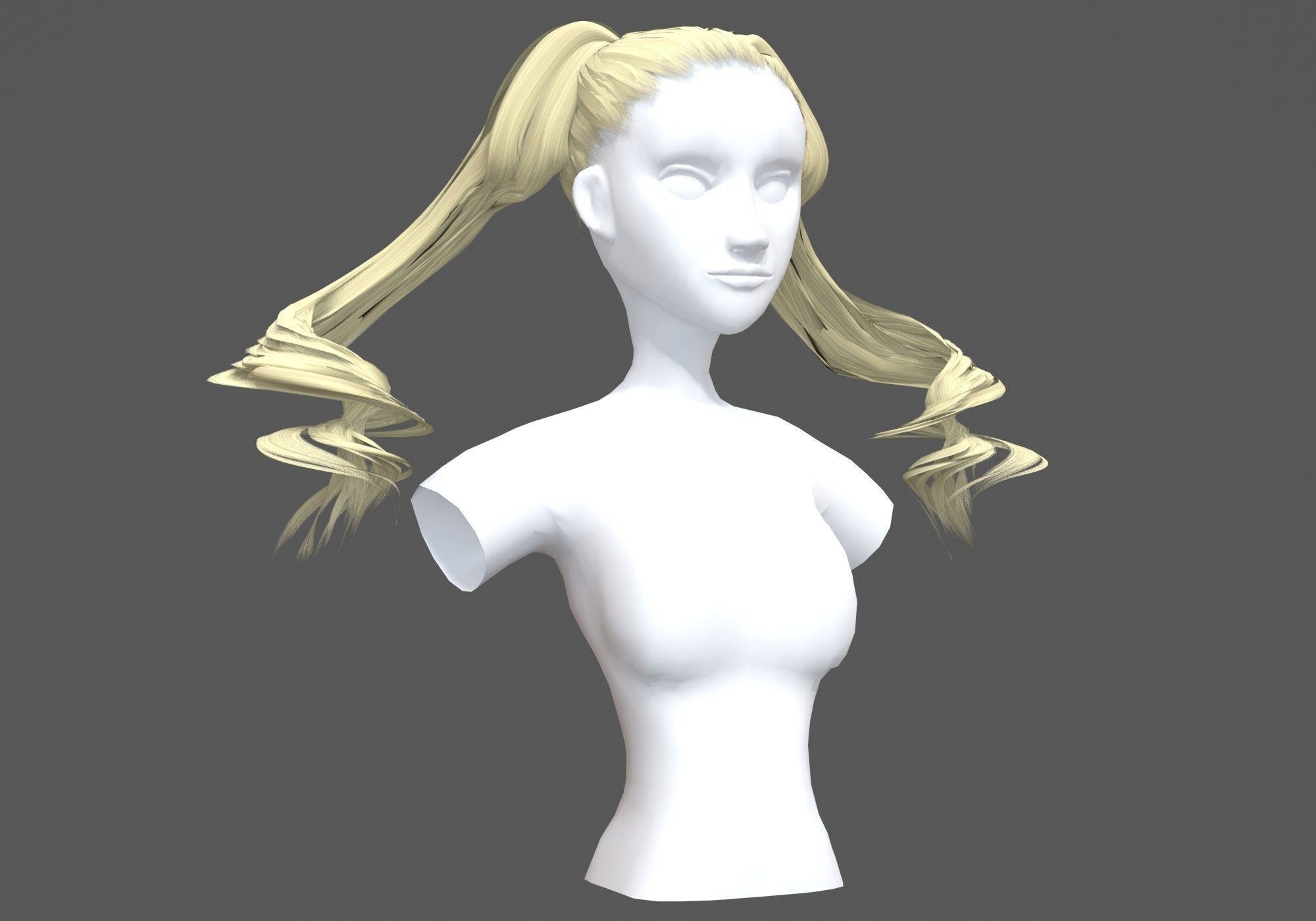 Swirled Long Hairstyle 3D model_1