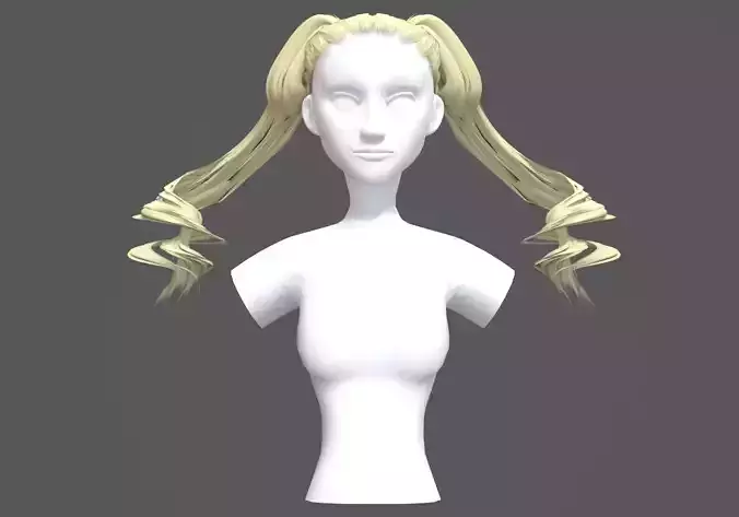 Swirled Long Hairstyle 