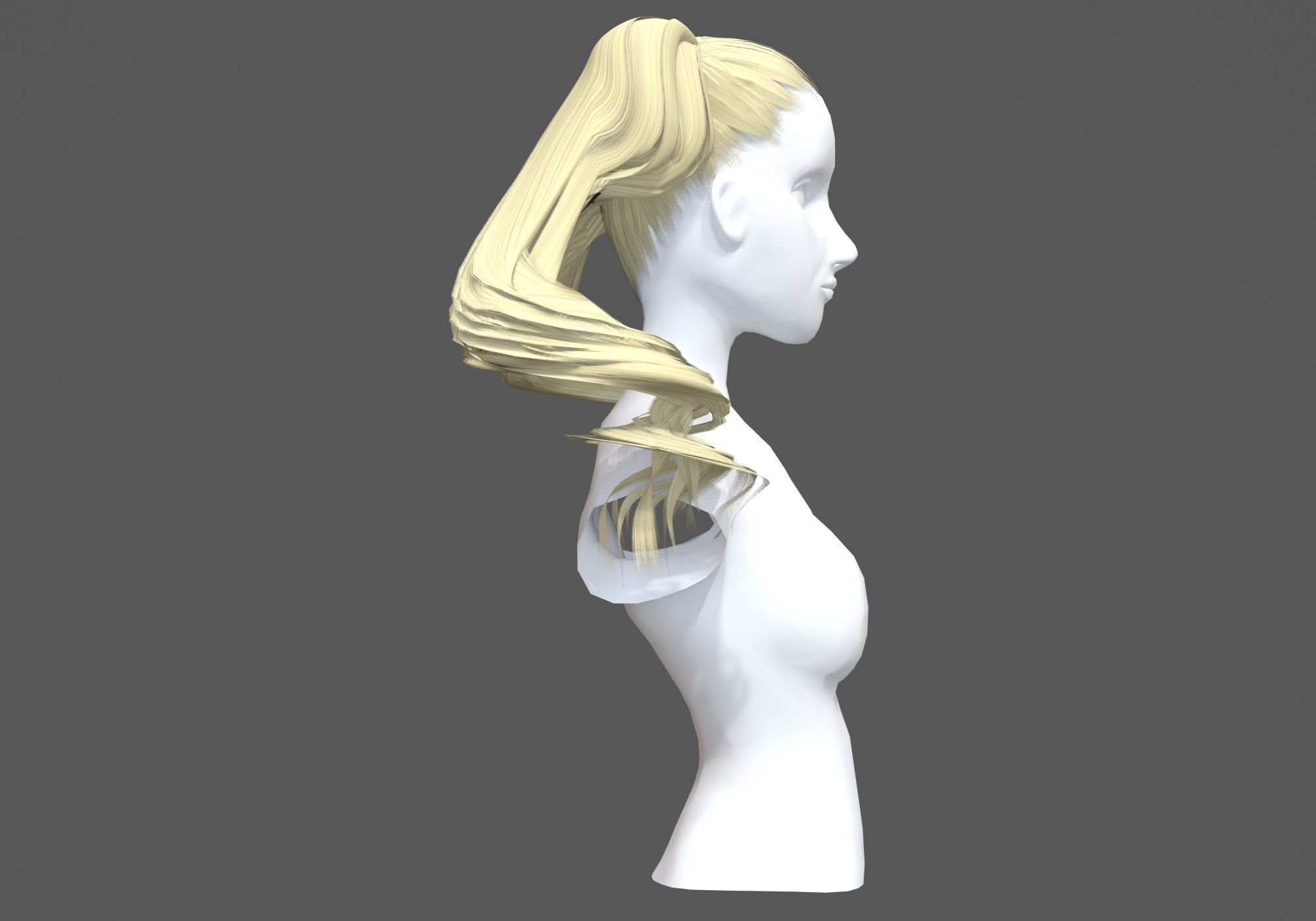 Swirled Long Hairstyle 3D model_2