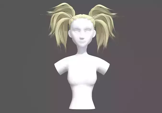 Pigtails Up Hairstyle 