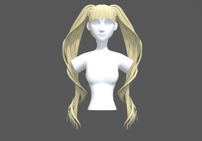 Pigtails Bangs Hairstyle  3D model