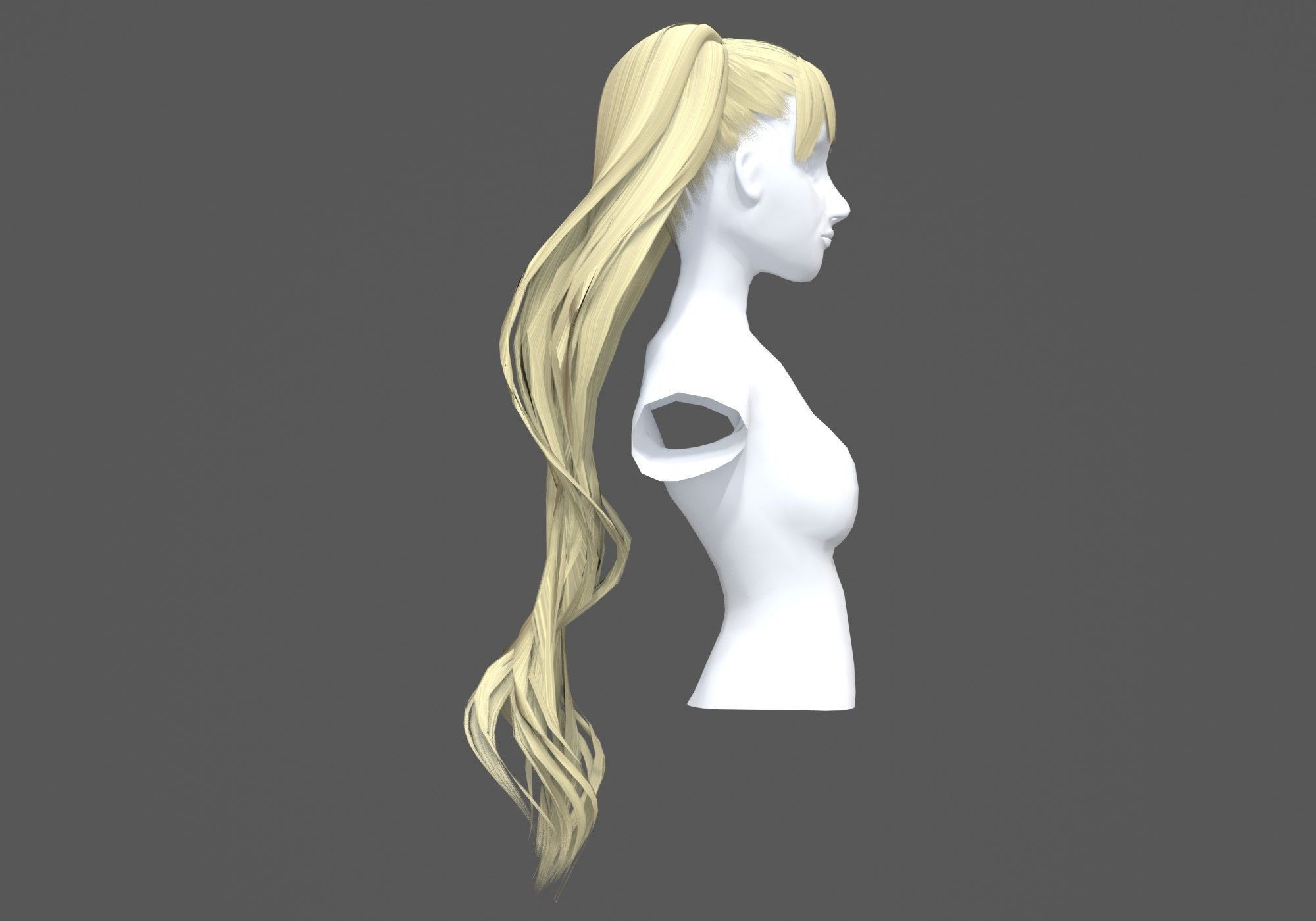 Pigtails Bangs Hairstyle  3D model_2