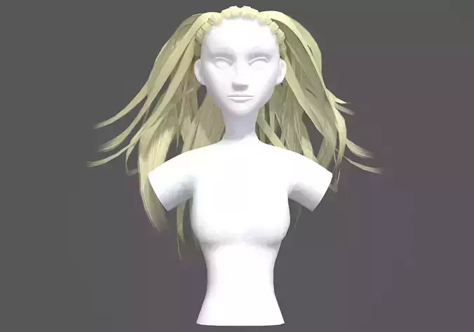 Pigtail Stylized Hairstyle 