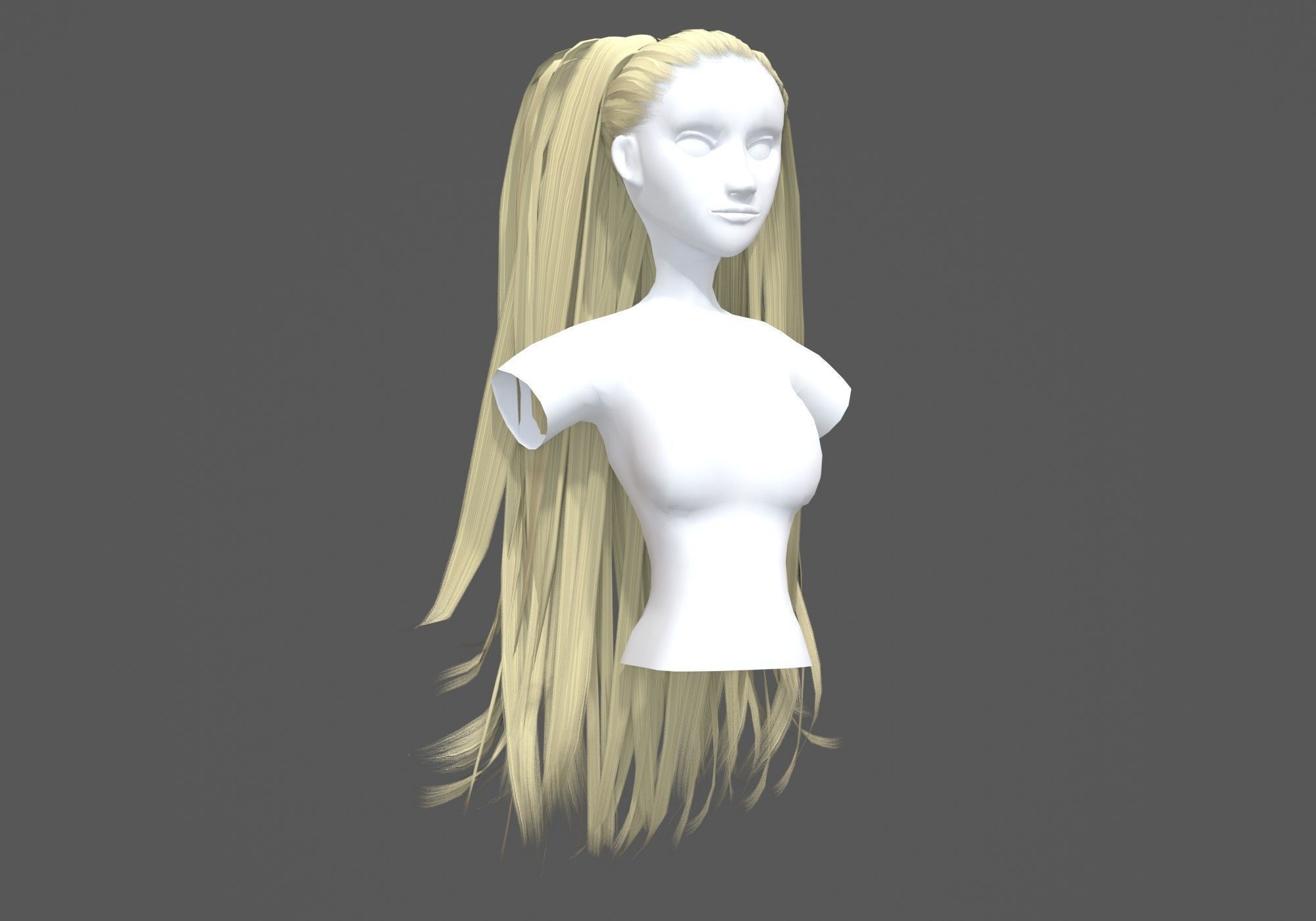 Long Female Hairstyle 3D model_1
