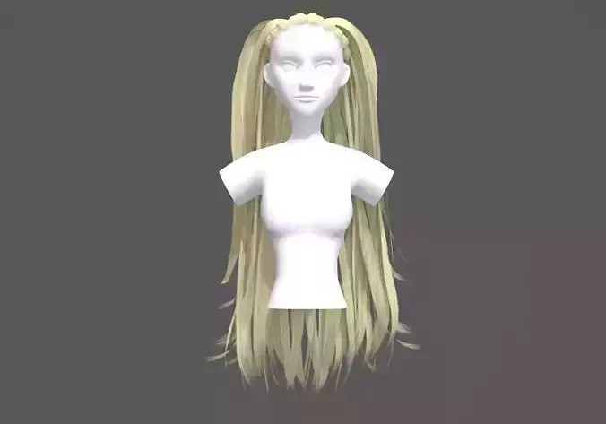 Long Female Hairstyle 3D model Long Female Hairstyle 3D model