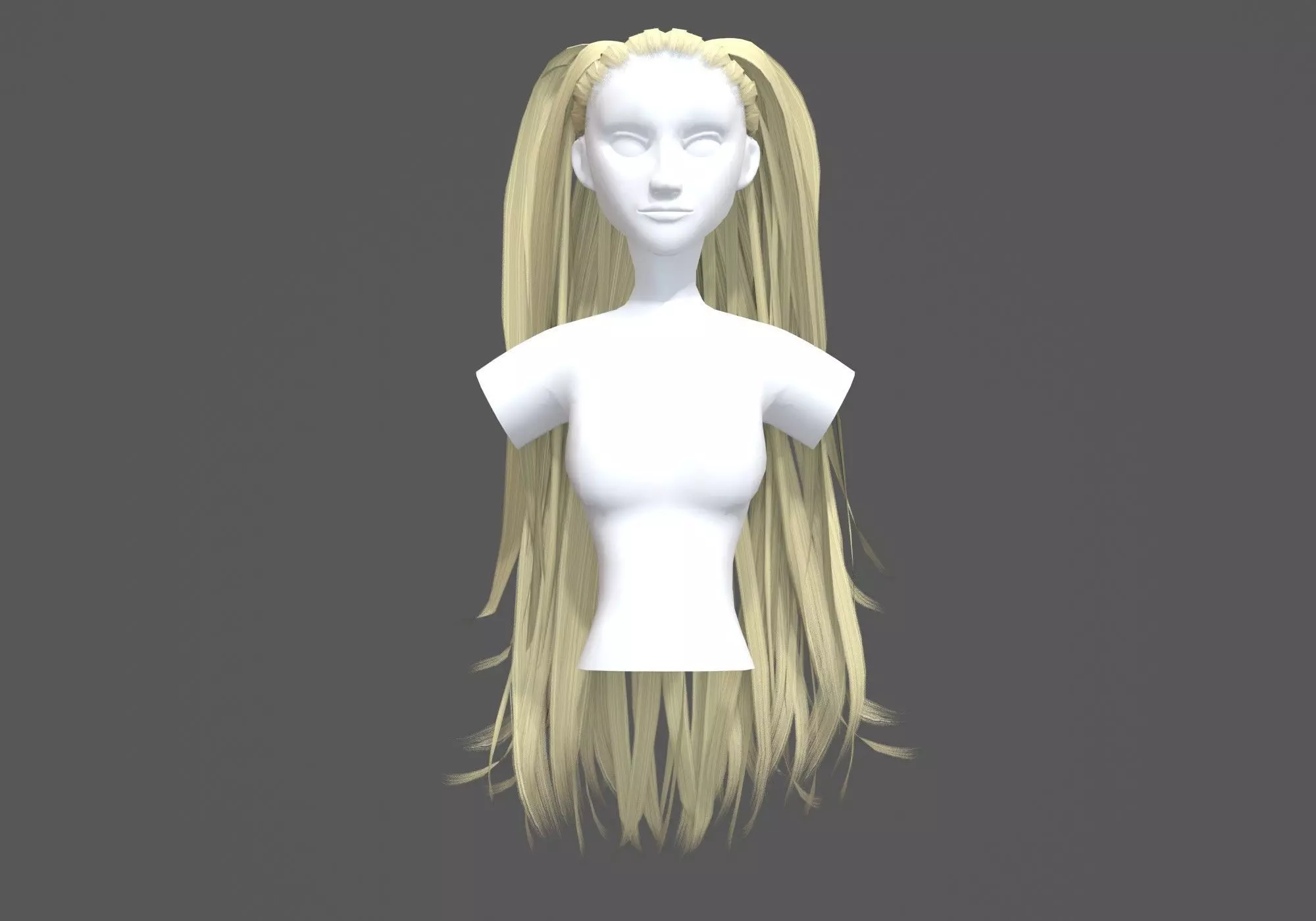 Long Female Hairstyle 3D model_0