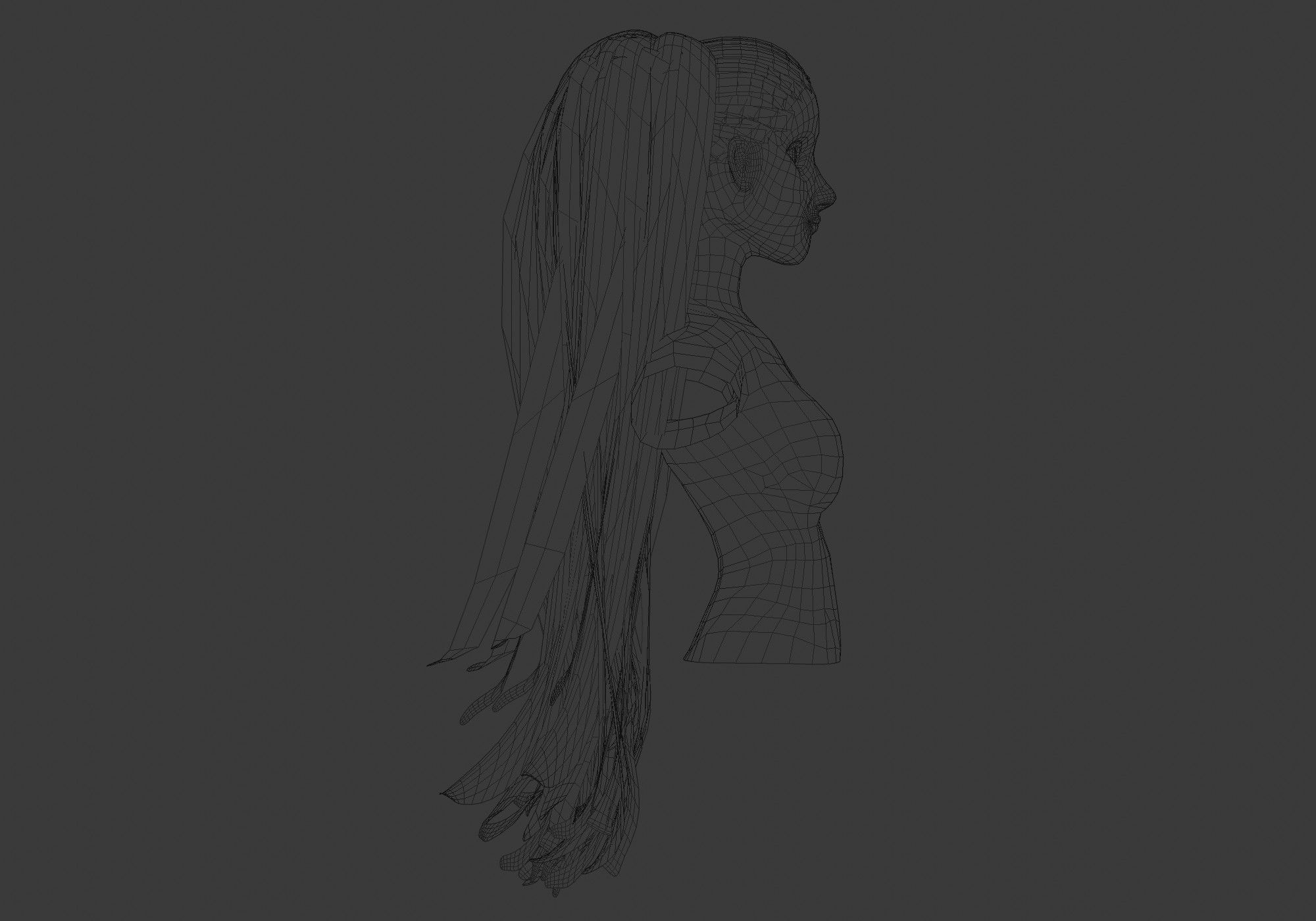 Long Female Hairstyle 3D model_7