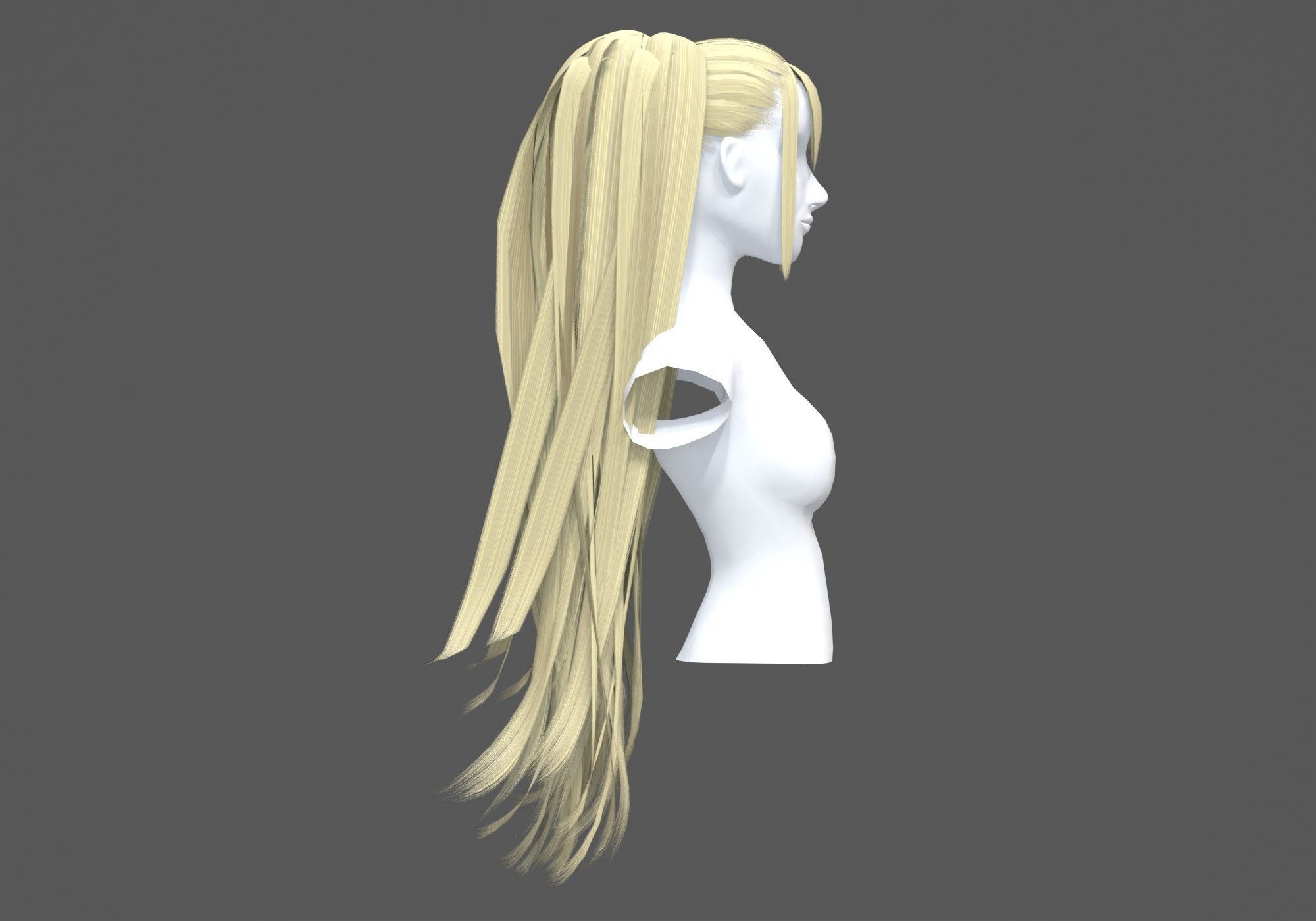 Female Long Hairstyle 3D model_2
