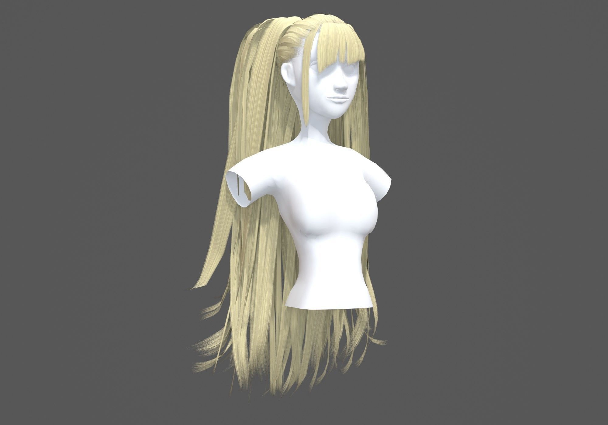 Female Long Hairstyle 3D model_1