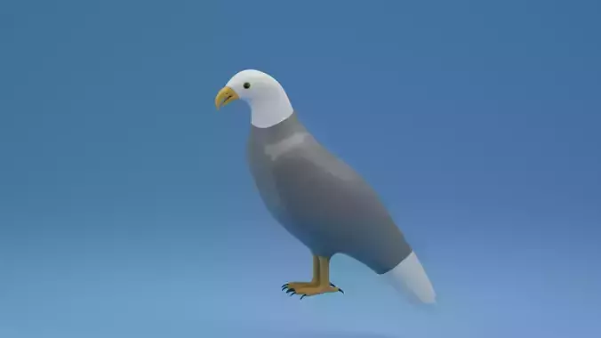 Cartoon Cute Bird Bald Eagle
