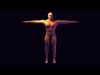 Rigged highpoly male model 3D model_1