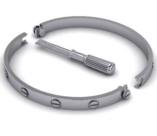Bracelet and screwdriver Model 1691 3D print model_0