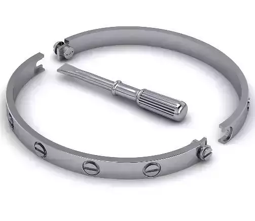 Bracelet and screwdriver Model 1691
