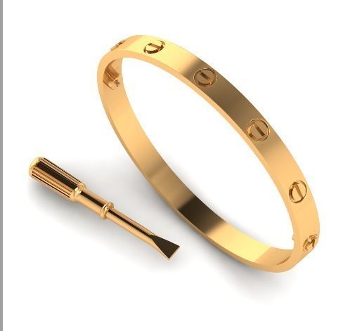 Bracelet and screwdriver Model 1691 3D print model_2