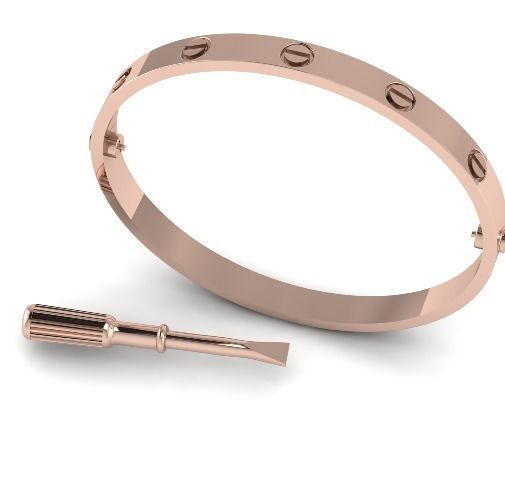Bracelet and screwdriver Model 1691 3D print model_1