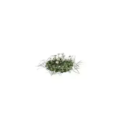 Grass And Flowers 3D model