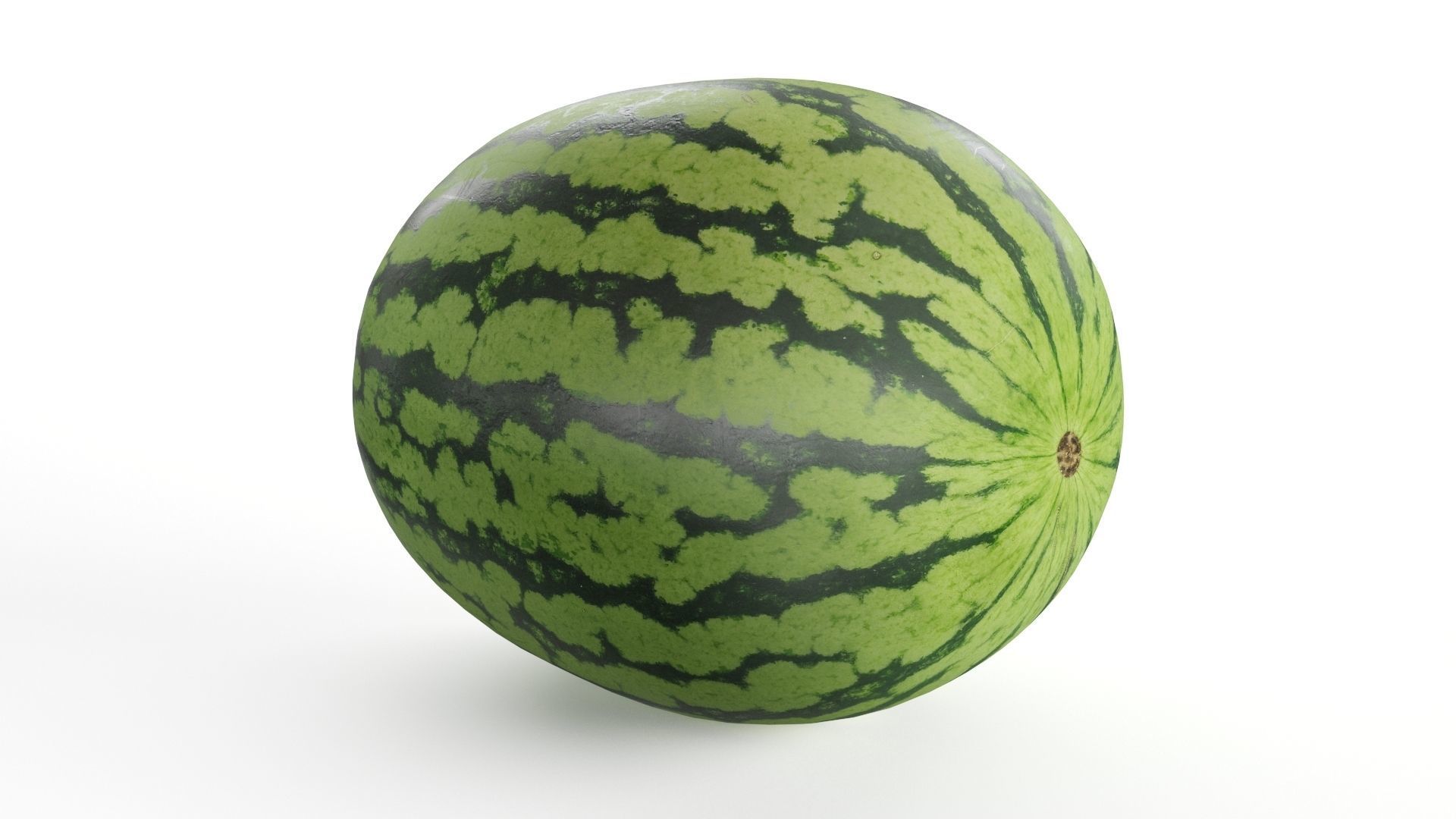 Fresh Watermelon 3D Model 3D model_3