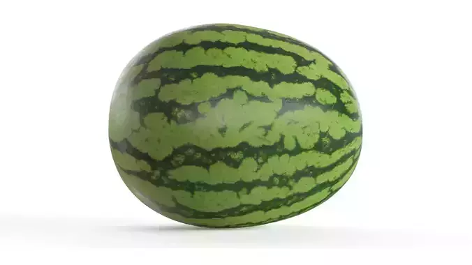 Fresh Watermelon 3D Model 3D model