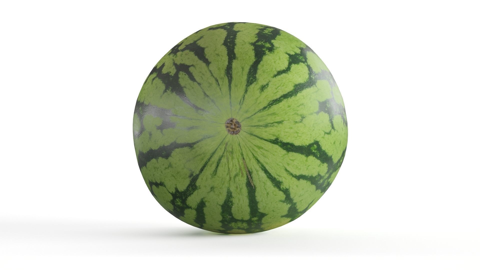 Fresh Watermelon 3D Model 3D model_8