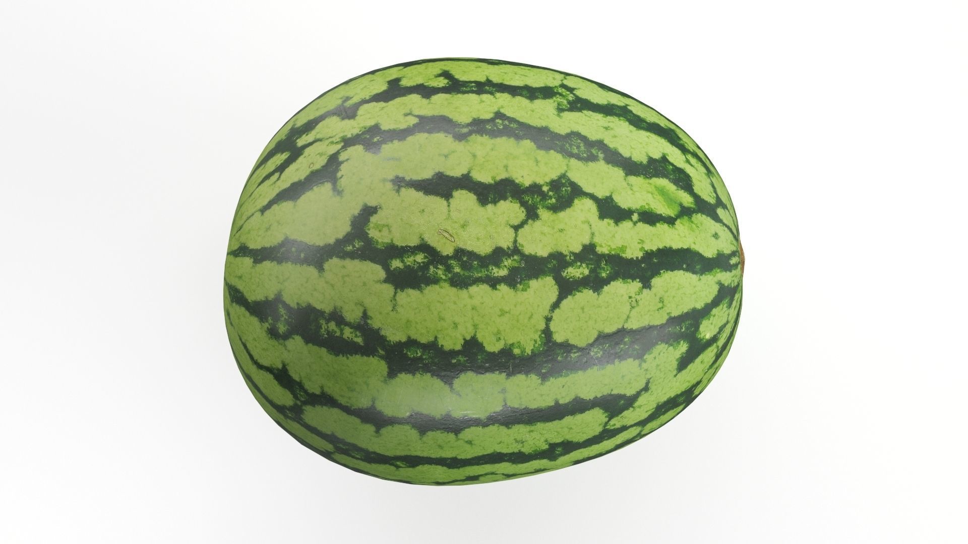 Fresh Watermelon 3D Model 3D model_9