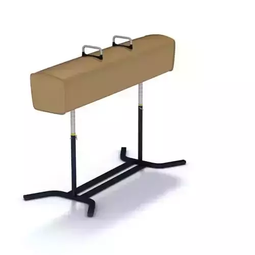 Gymnastics Buck Horse