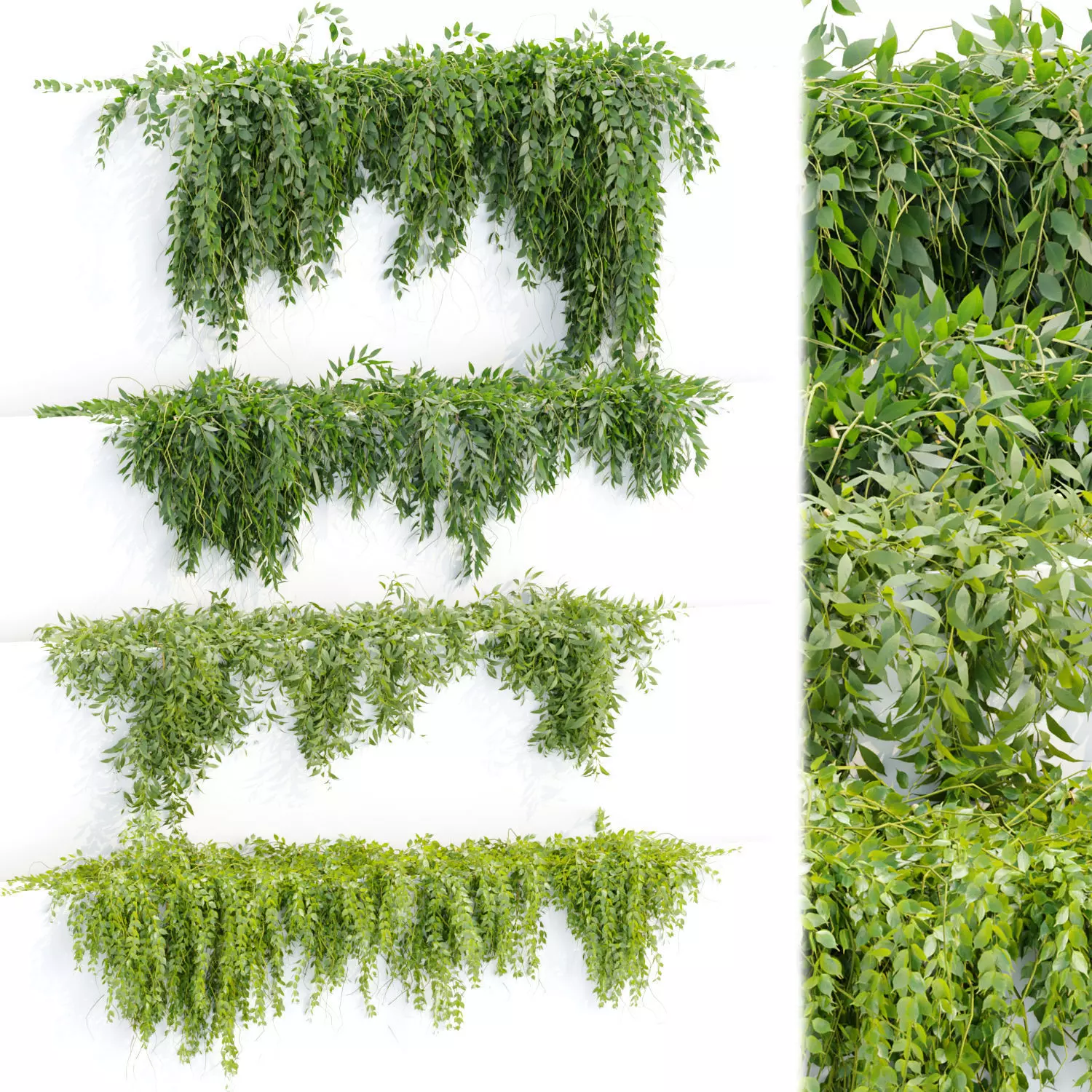 Hanging wall plants collection vol 109 3D model