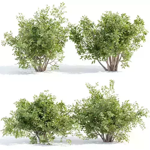 bushes 4 collection vol 110 3D model
