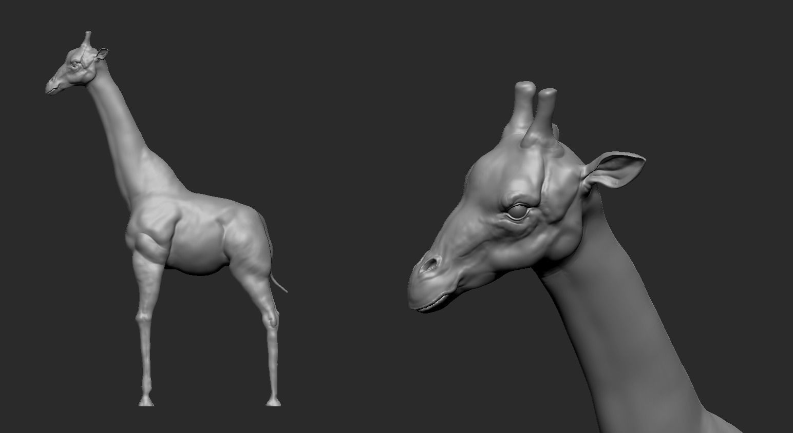 Giraffe Low-poly 3D model_6