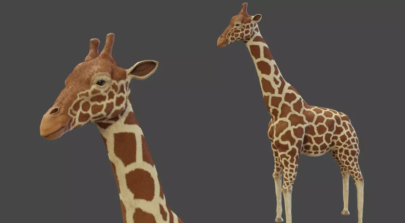 Giraffe Low-poly 3D model_0