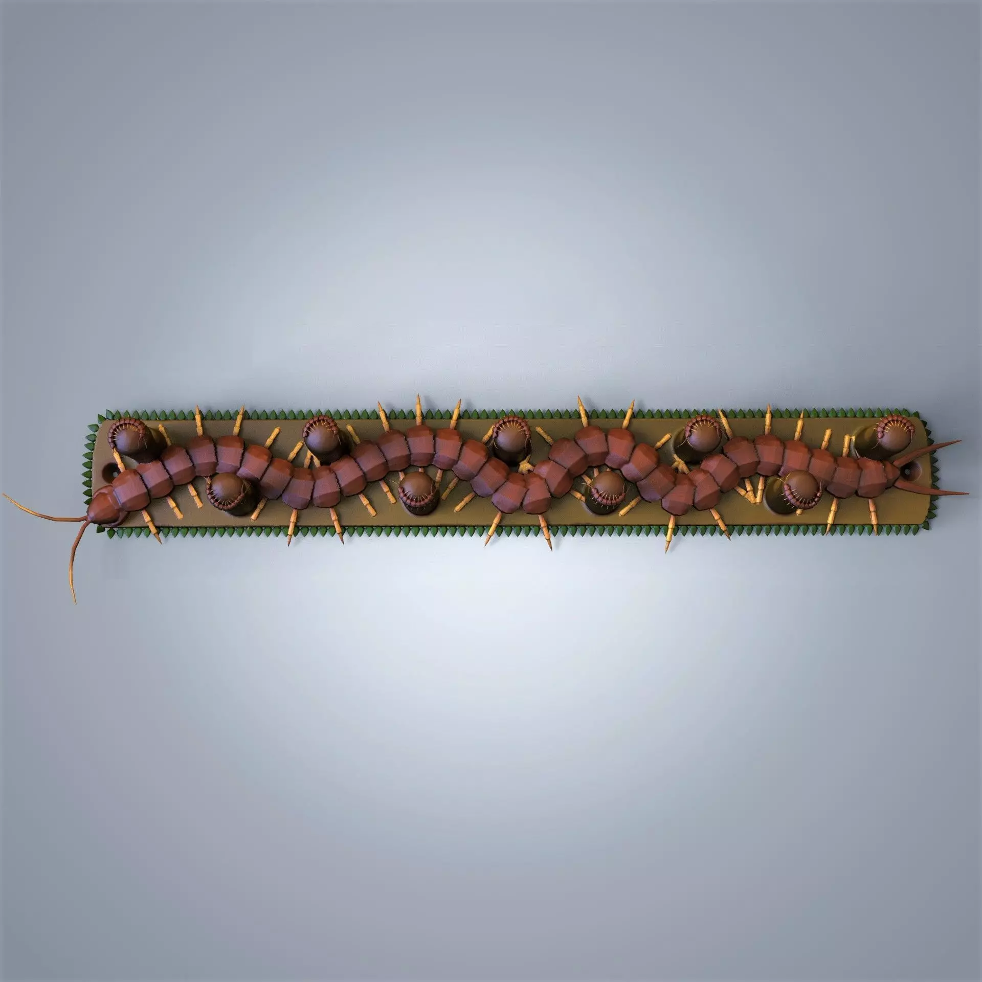 Centipede key holder and coat rack 3D print model