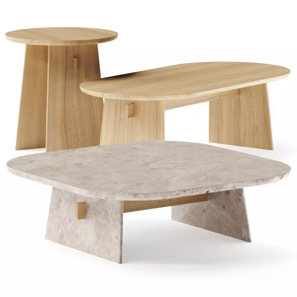 Natuzzi Italia ADAM Coffee Tables 3D model_0