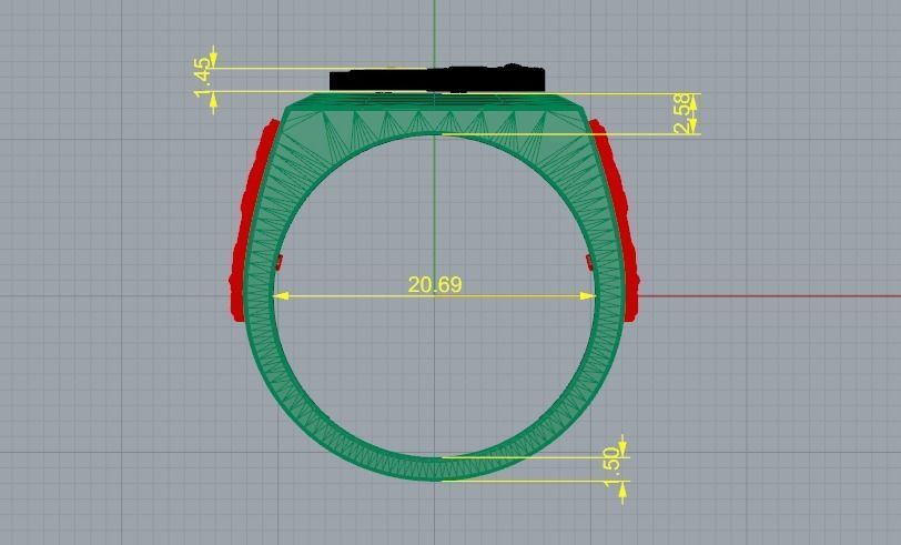 Ring Model 1699 3D print model_9