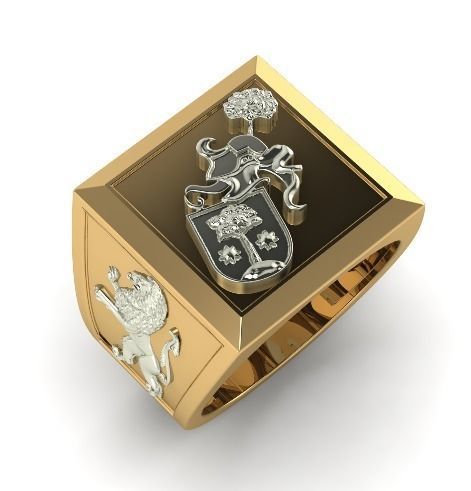 Ring Model 1699 3D print model_2