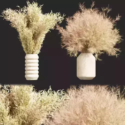 Collection plant vol 372 - Bouquet - dried - flowers 3D model