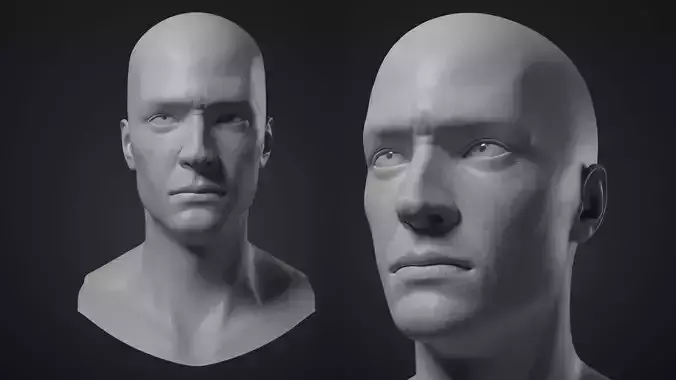 Male Head With Detailed Realistic Skin Texture Low-poly 3D model