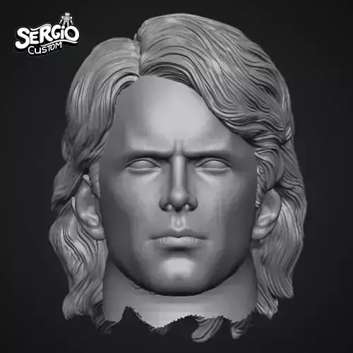 Anakin Skywalker Head Custom 3D print model