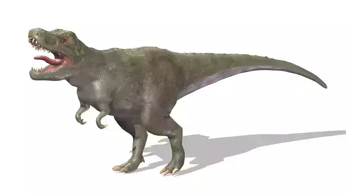 Tyrannosaurus 01 Low Poly PBR Realistic
