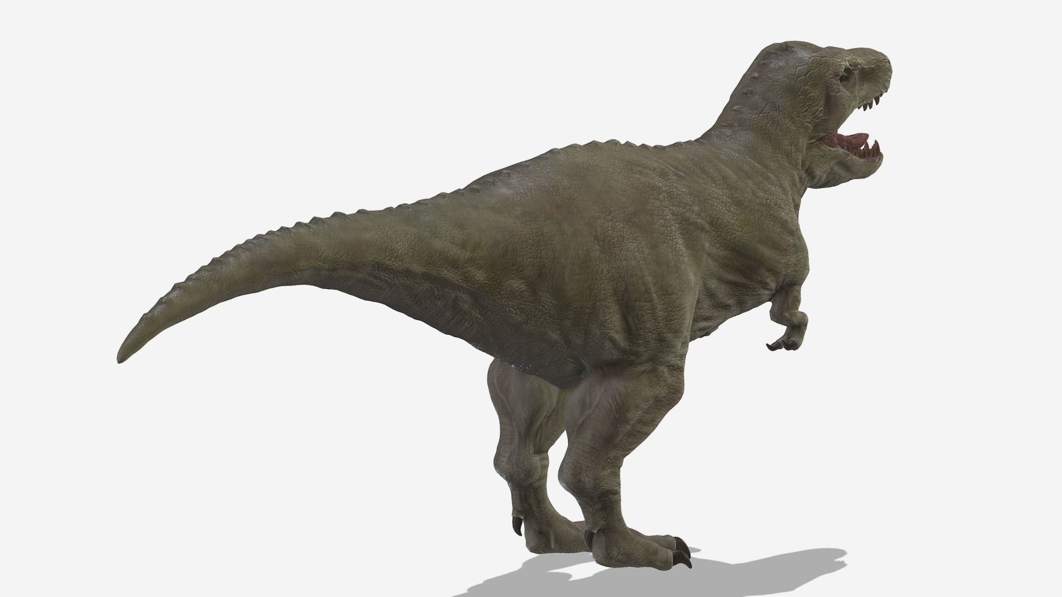  Tyrannosaurus 02 Low Poly PBR Realistic Low-poly 3D model_5