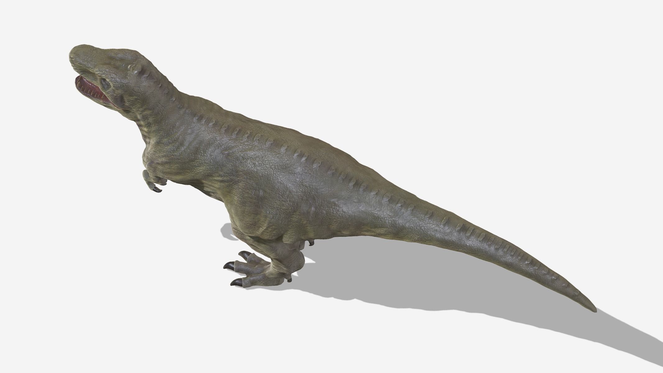  Tyrannosaurus 02 Low Poly PBR Realistic Low-poly 3D model_6